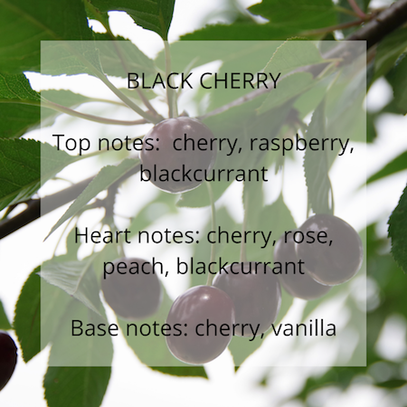 Black Cherry fragrance notes - Calon Candles