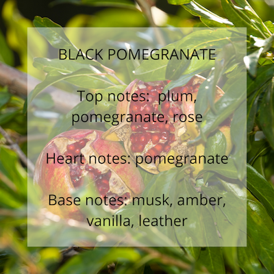 Black Pomegranate fragrance notes - Calon Candles