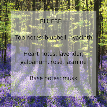 Bluebell fragrance notes - Calon Candles