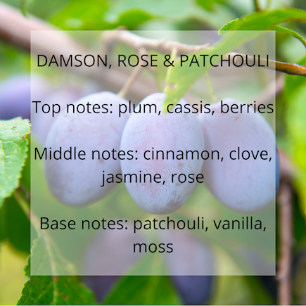 Damson, Rose and Patchouli fragrance notes - Calon Candles