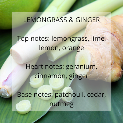 Lemongrass and Ginger fragrance notes - Calon Candles