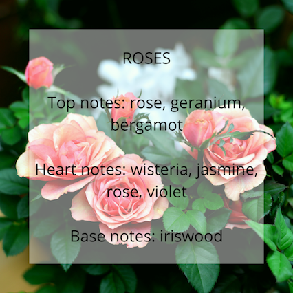Roses fragrance notes - Calon Candles