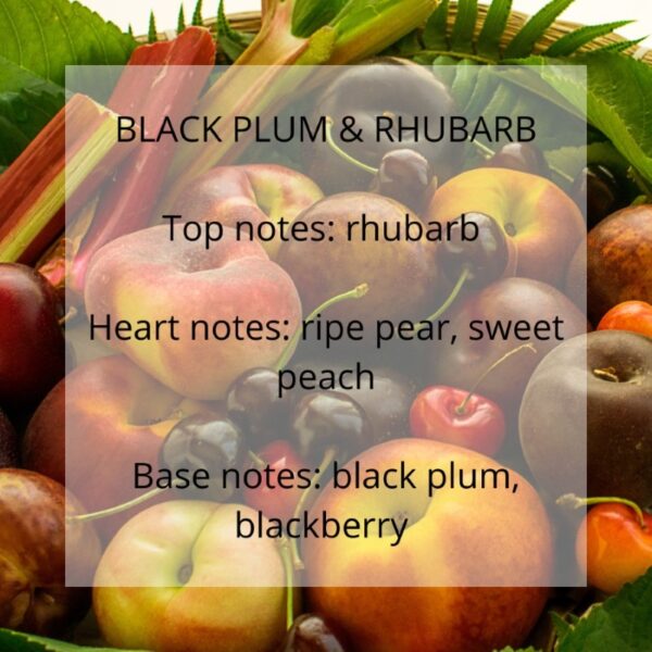 Black Plum and rhubarb fragrance notes