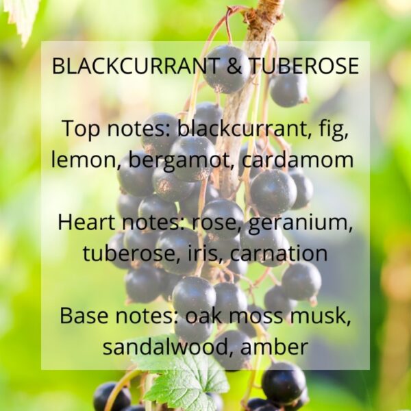 blackcurrant and tuberose fragrance notes
