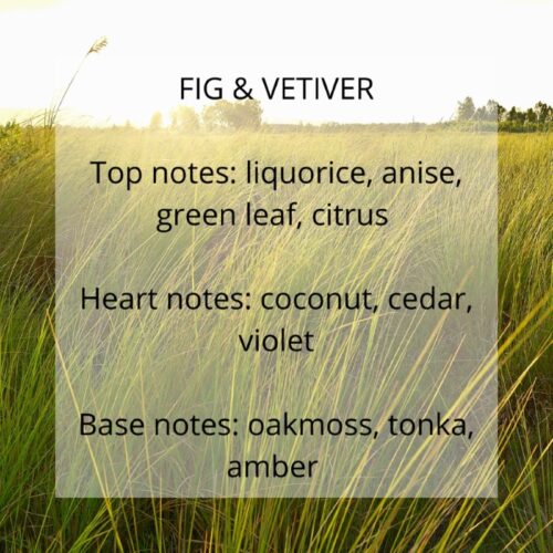 fig and vetiver fragrance notes