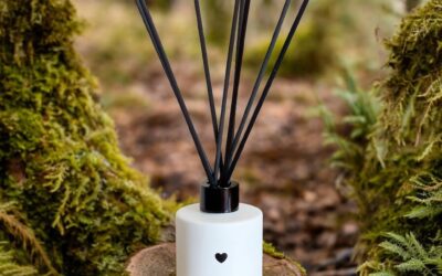 🌿 The Return of Our Reed Diffusers — Flame-Free Fragrance, Fuss-Free Style